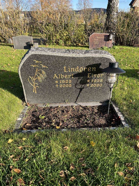 Gravnummer: 3084 J   119-120