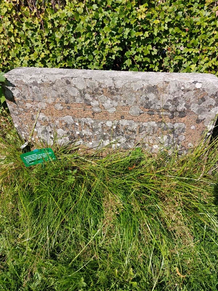 Hautatunnus: 1 D   046