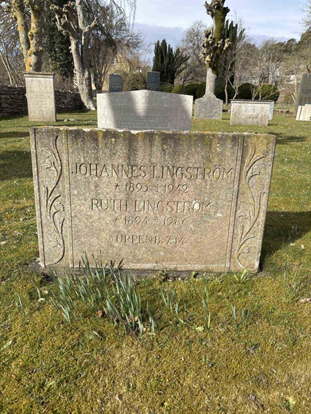 Gravnummer: LI    61