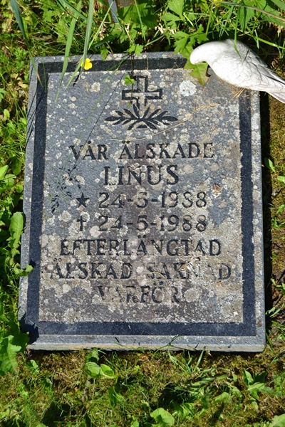 Grave number: 3 D    46