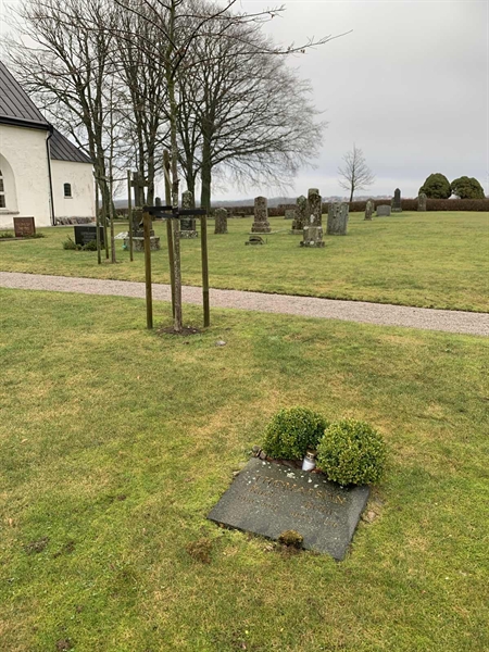 Grave number: V OIV 364