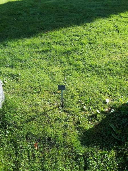 Hautatunnus: NK A A   387