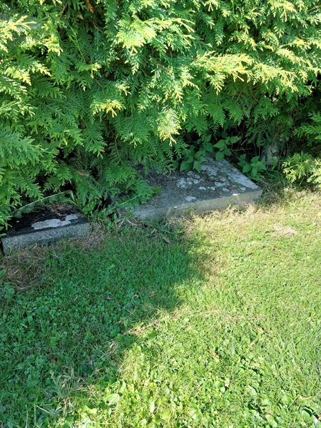 Hautatunnus: 1 D   081