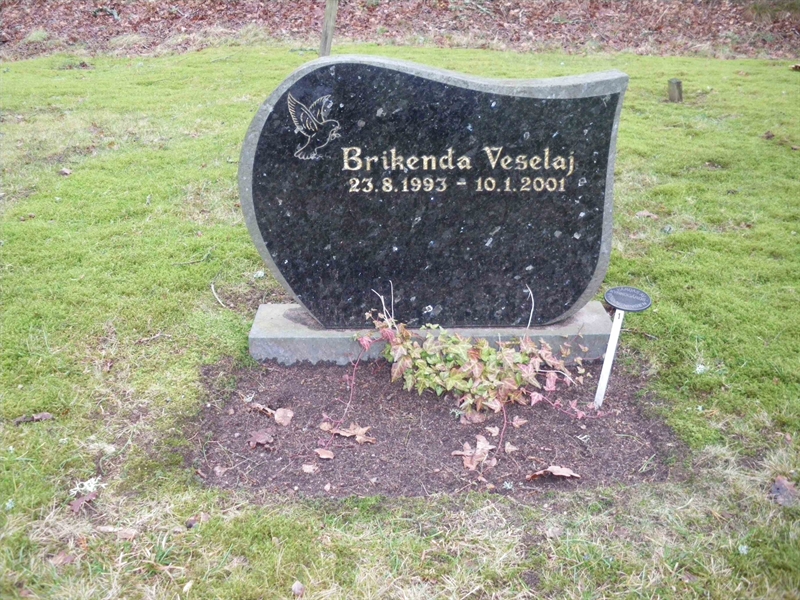 Grave number: HNB VII    12
