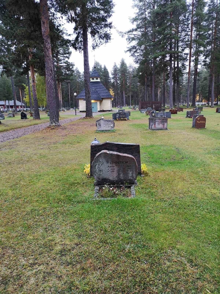 Hautatunnus: VLM 14    99-101