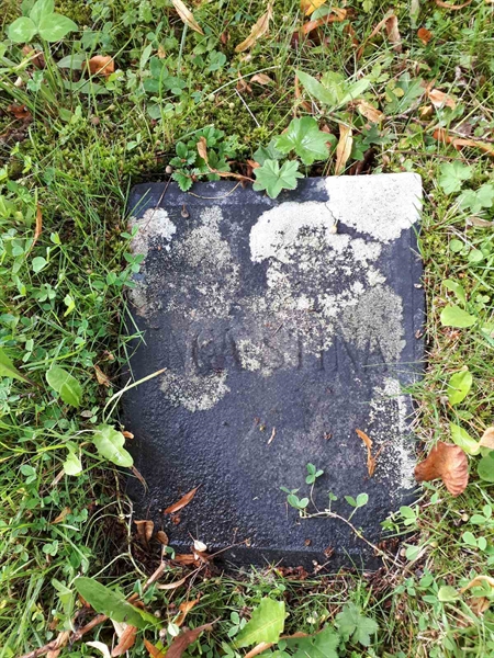 Gravnummer: GK A 4   229H