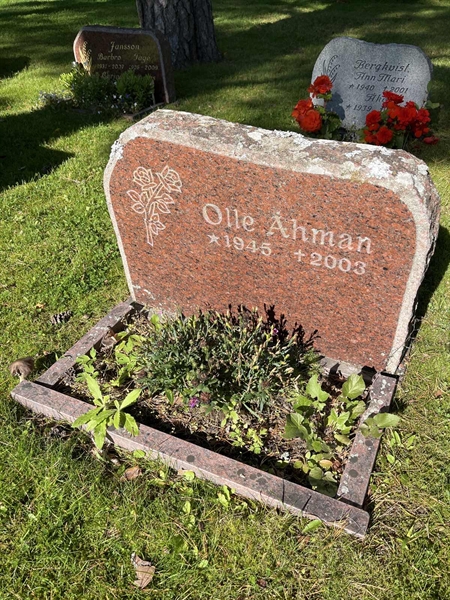 Grave number: 30ST TALL    22