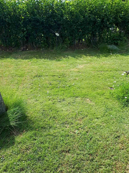 Hautatunnus: GK A 5   189V