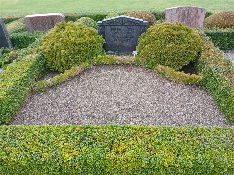 Grave number: Si I    51, 52