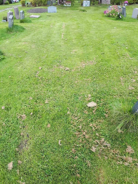 Grave number: NK F B   750