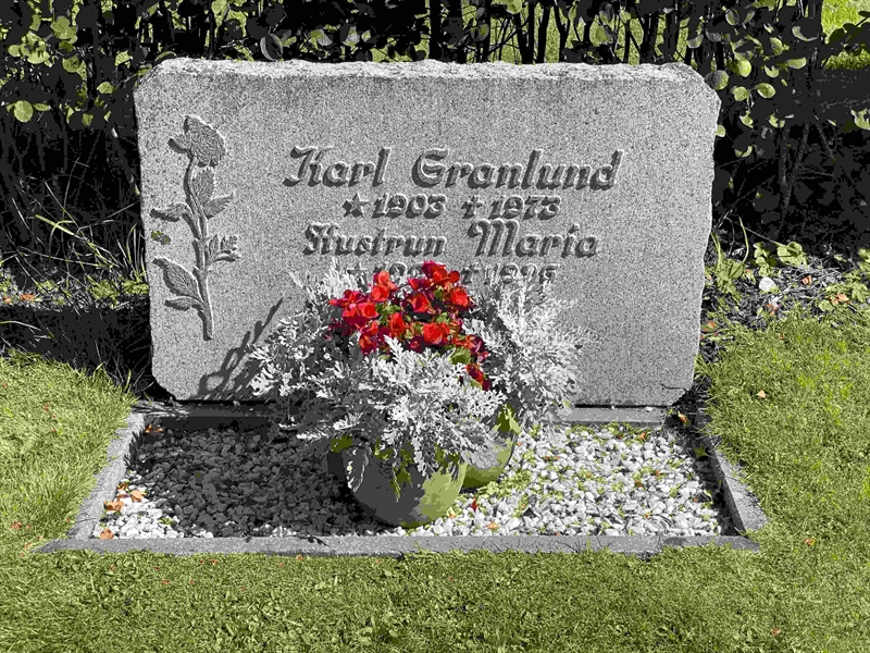 Grave number: 1 01   293-294