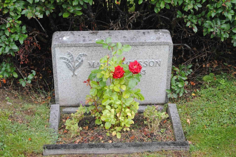 Grave number: 1 03   126
