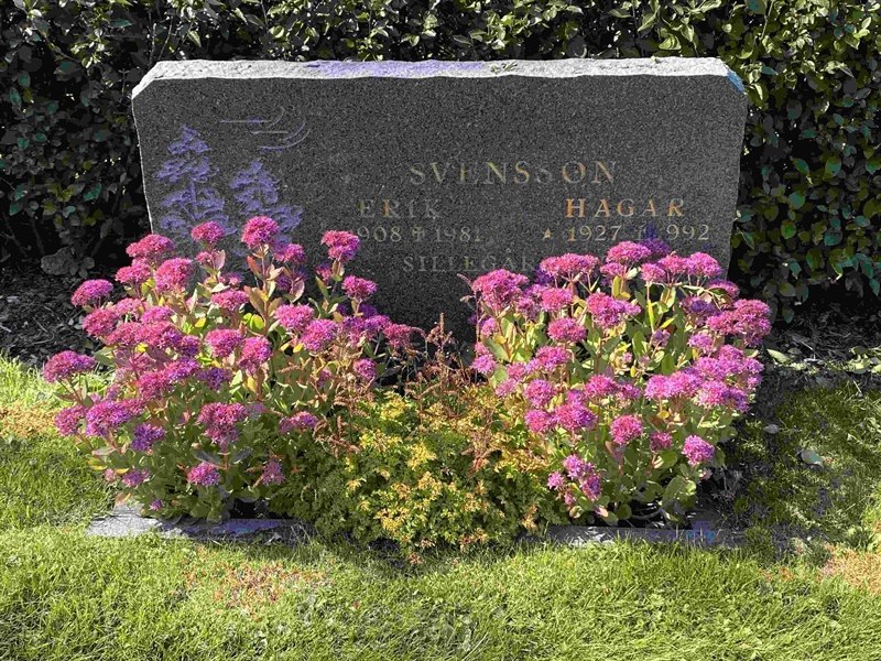 Grave number: 1 03    85-86
