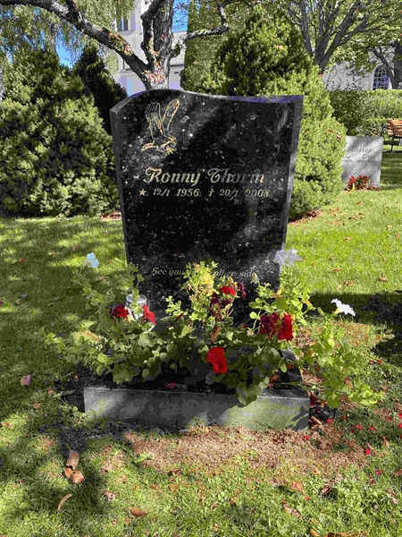 Grave number: 1 02    68