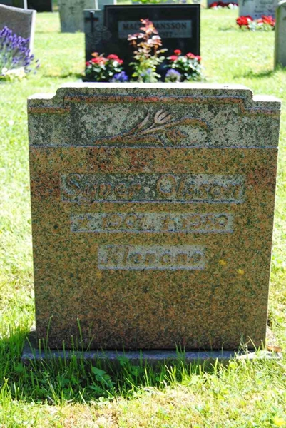 Grave number: 1 02    41