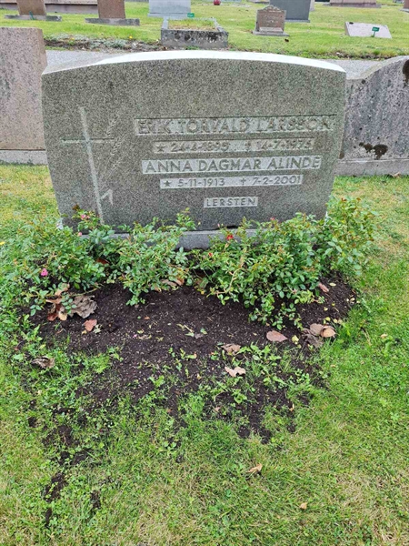 Grave number: F 04   313, 314