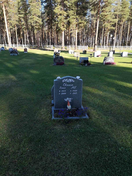 Hautatunnus: VLM 12     9-10