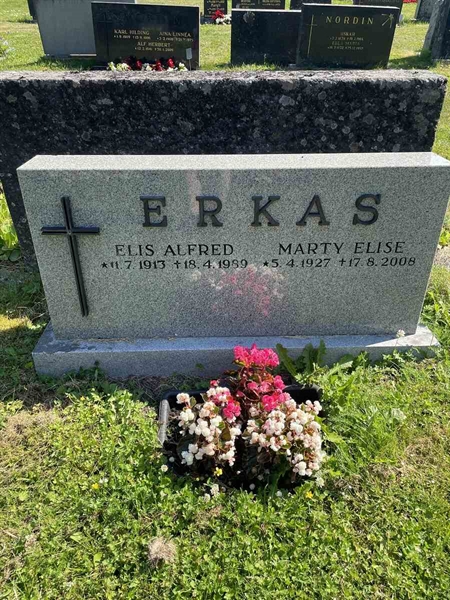 Grave number: N 5 1   113