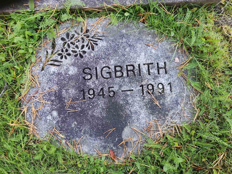 Hautatunnus: VLM 11    55:1-2