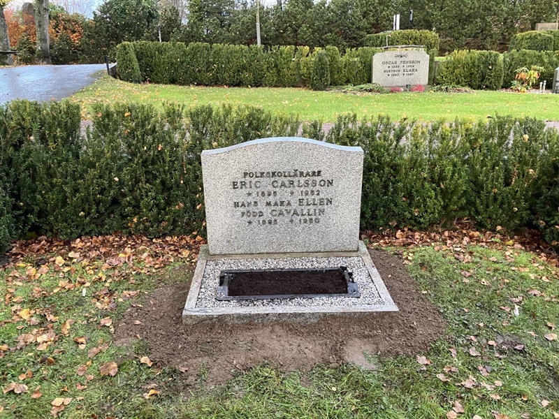 Grave number: HÖB 49    31