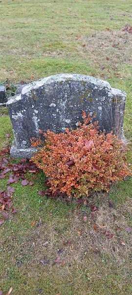 Gravnummer: 3 Nya E    65-66