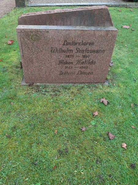 Gravnummer: HG C    24, 25