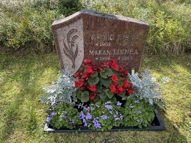 Grave number: 3 15    67