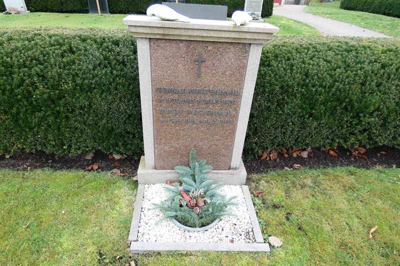 Grave number: TR 3   116