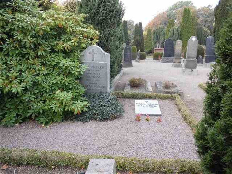 Hautatunnus: KG C 19
