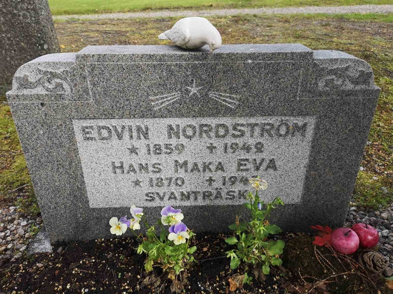 Gravnummer: POK 07     9