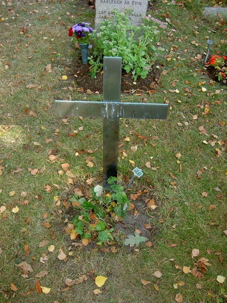 Grave number: 1 M   41