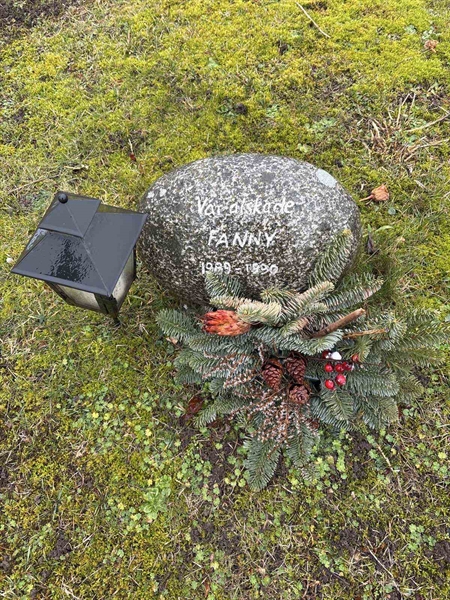 Grave number: Ar A 36