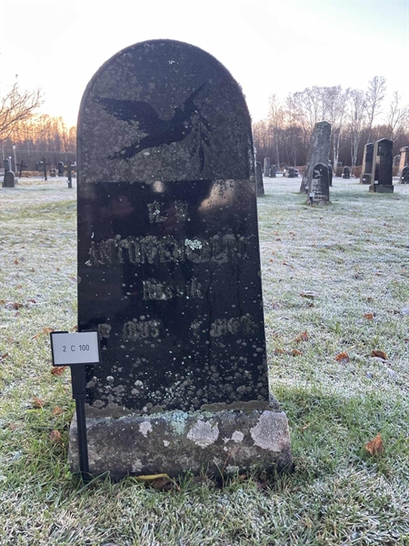 Hautatunnus: 2 C   100