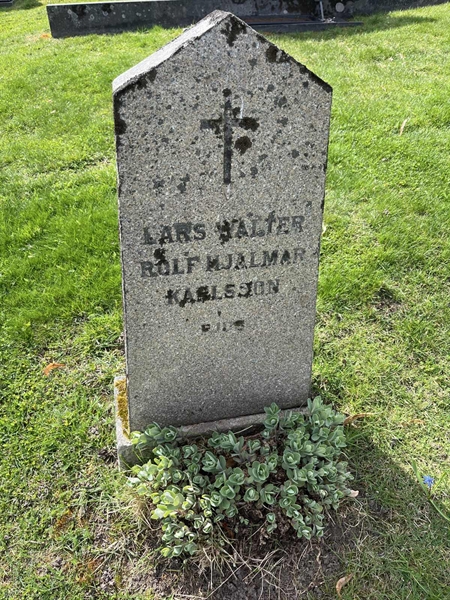 Hautatunnus: Vårv Kv3 28