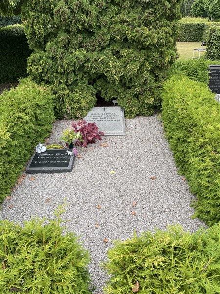 Grave number: NK II    39