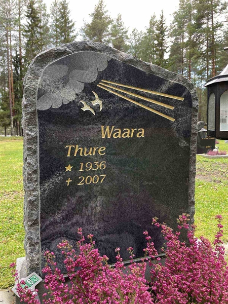 Grave number: 3 7    63