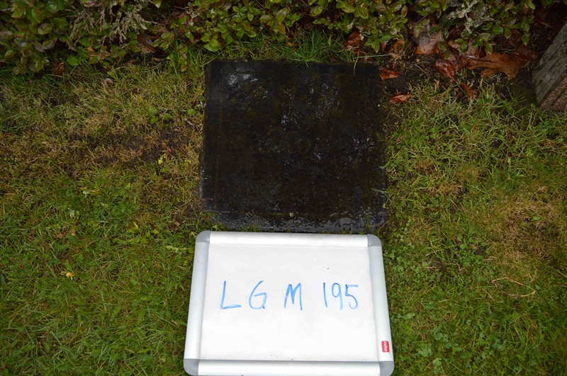 Gravnummer: LG M   195