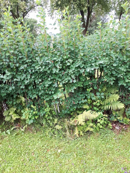 Gravnummer: GK F 5   574