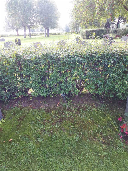 Hautatunnus: NK F D    48