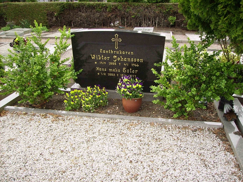 Grave number: LM 2 18  111