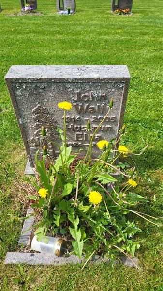 Grave number: D N 8  2129-2130