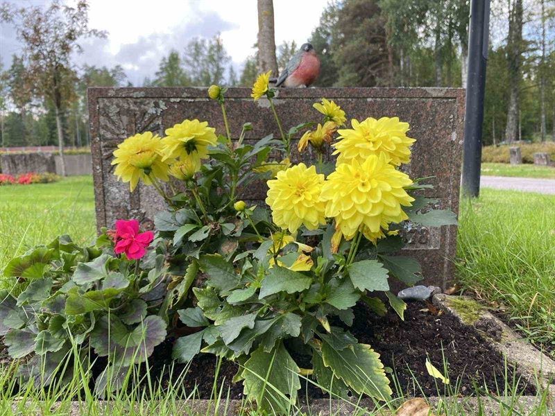 Grave number: 1 19    137, 138