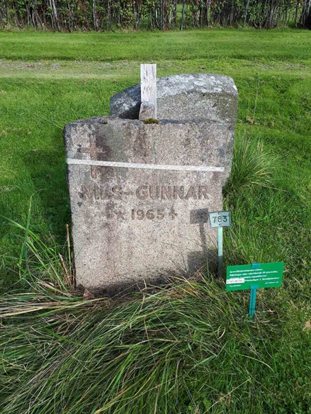 Grave number: NK F B   783