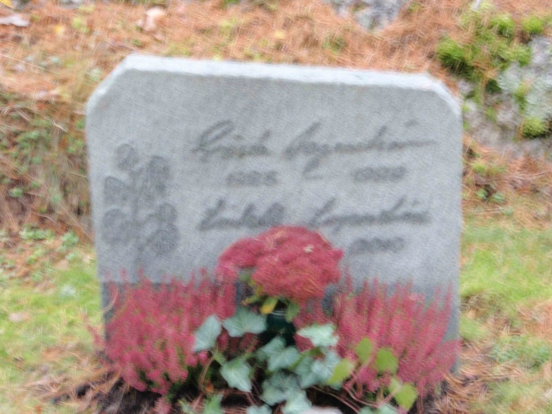 Grave number: H 3  100