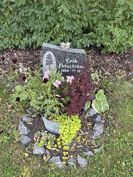 Grave number: 1 C1     7