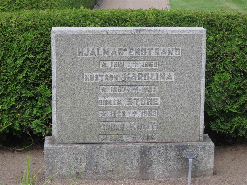 Grave number: HÖB 46    25