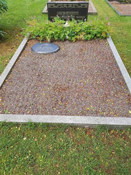 Grave number: 01   251