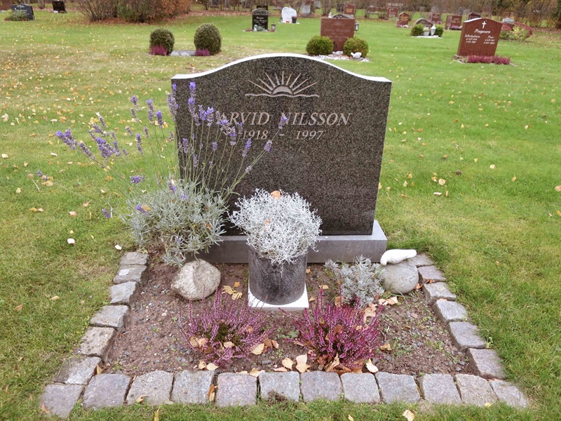 Grave number: HNB I   101