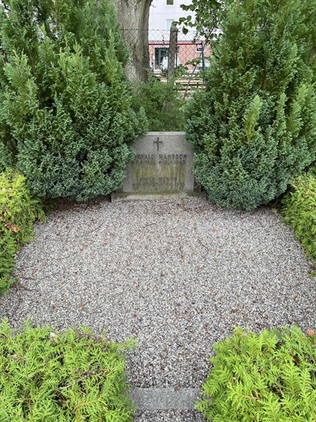 Grave number: NK IX   224