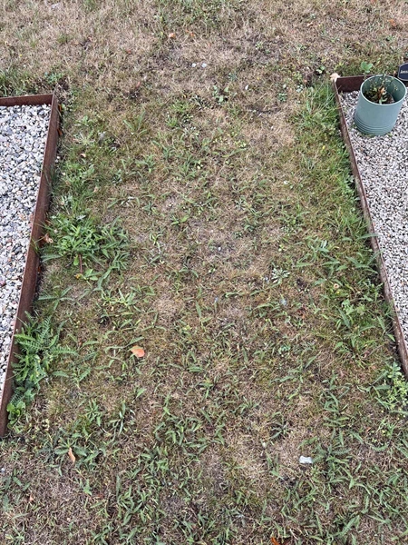 Grave number: NK XV:u    85